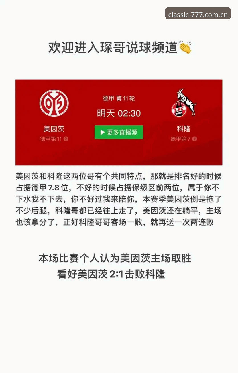 世界杯J组观赛实用指南，德甲元素全解析必备知识